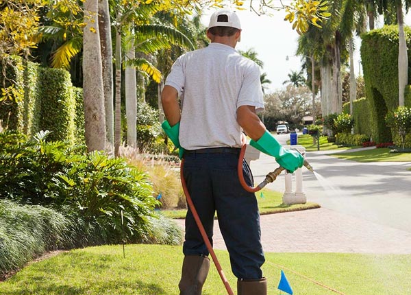 About Winchester VA Pest Control Pros